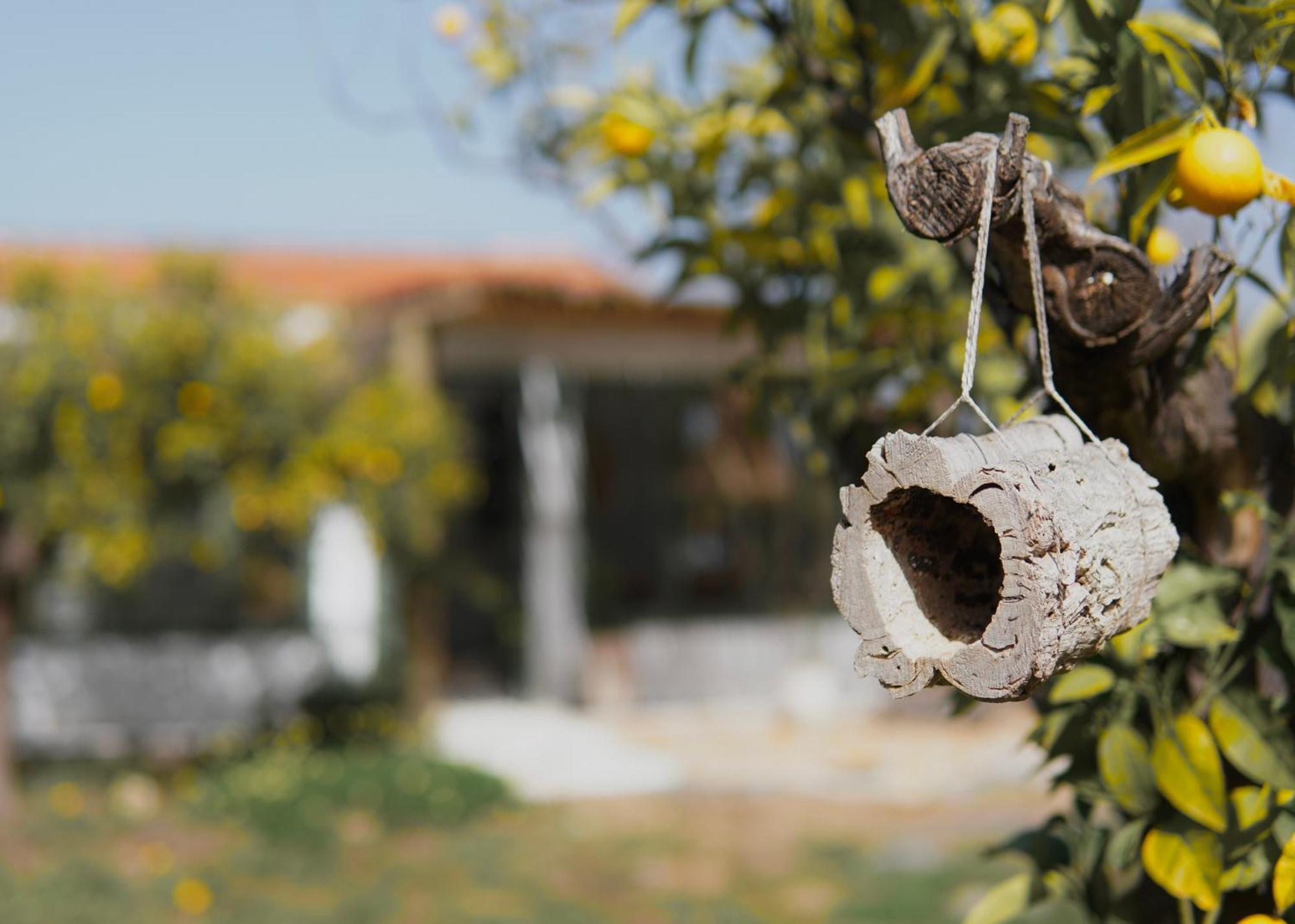Bed and Breakfast The4Elements Monda Exterior foto