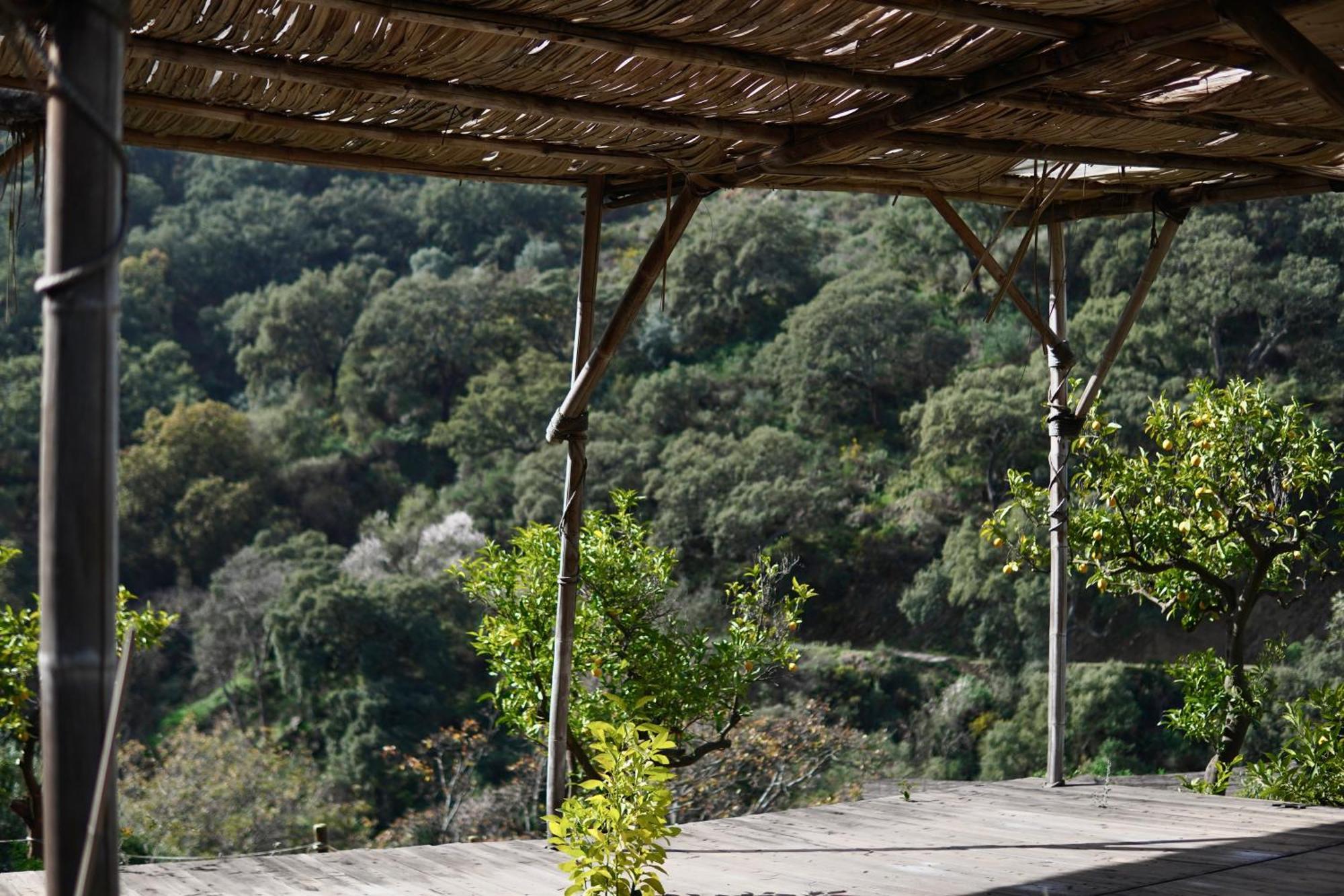 Bed and Breakfast The4Elements Monda Exterior foto