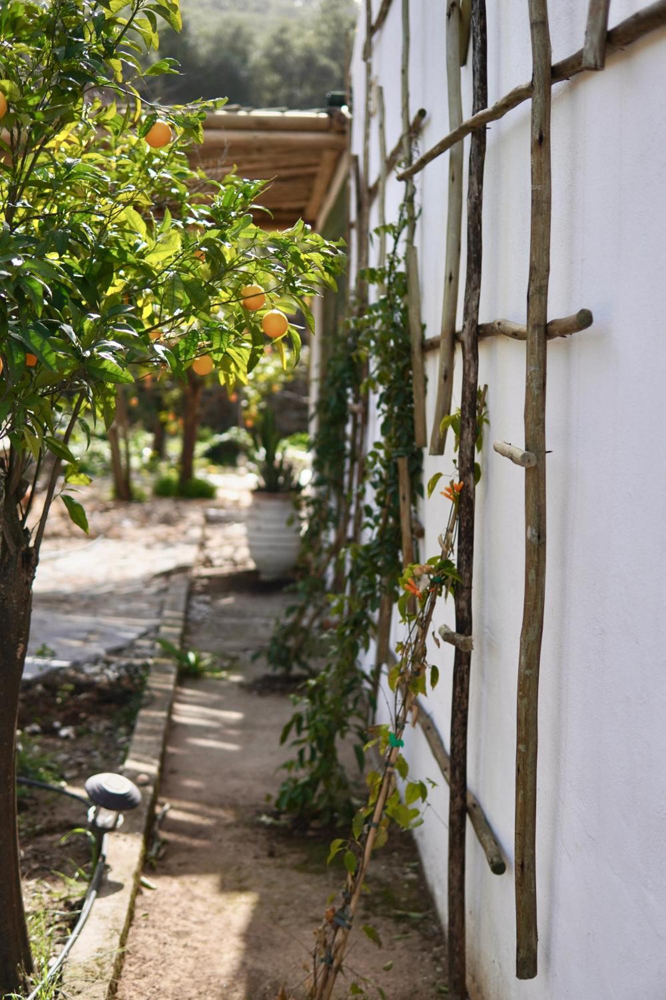 Bed and Breakfast The4Elements Monda Exterior foto
