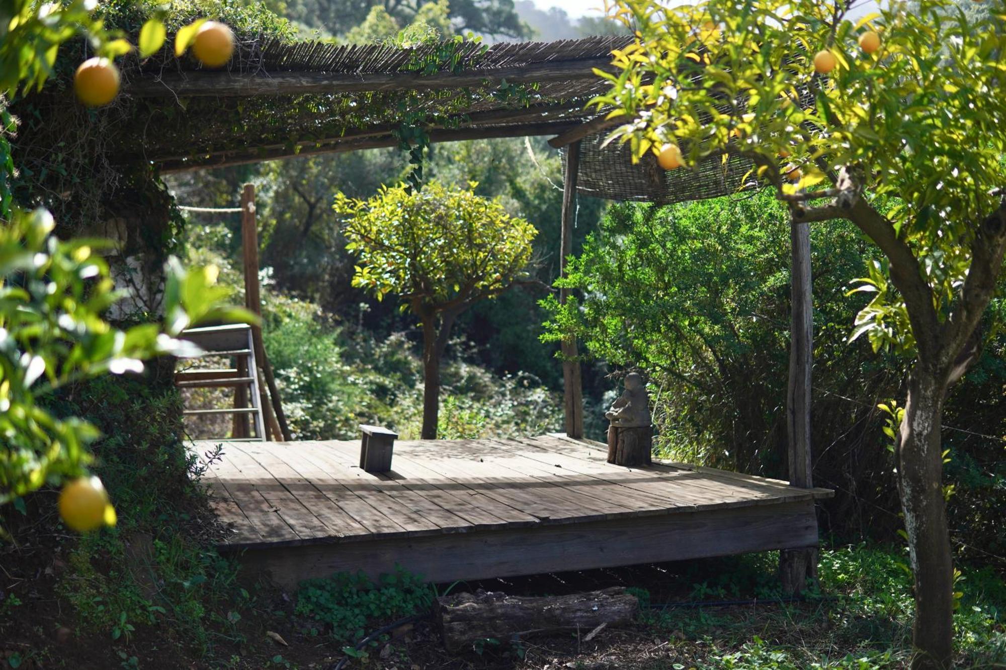 Bed and Breakfast The4Elements Monda Exterior foto